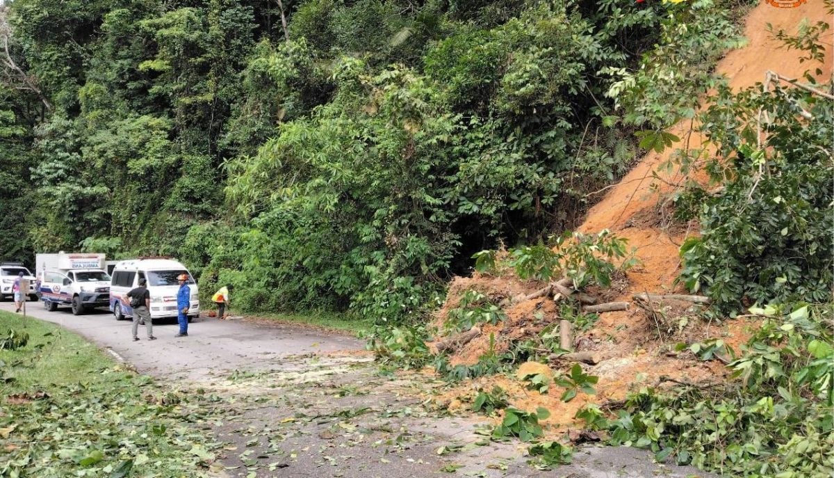 请签发/大都会:雨后泥松 两地土崩与树倒/3图