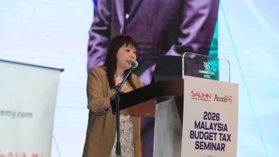 林慧英：巩固马战略投资中心地位   贸协拓关键行业出口