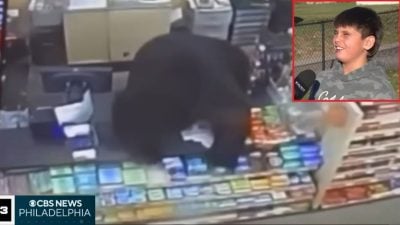 视频 | 遭黑熊疯狂追杀  11岁男童狂奔商店求救