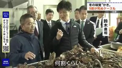 酷暑致水温升高盐分提高  广岛爆大规模生蚝死亡