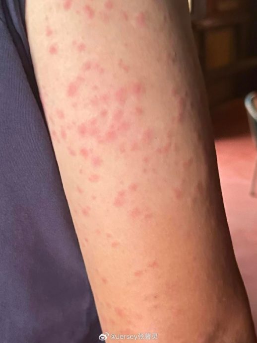 金马62|范冰冰视讯张吉安哭成大花脸 工作室发文道贺又秒删