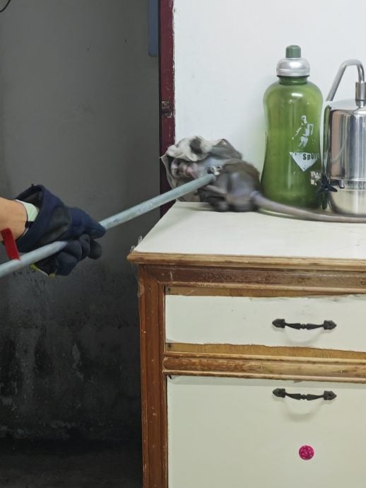 防季候风灾情来袭 怡志愿消防队整装待命