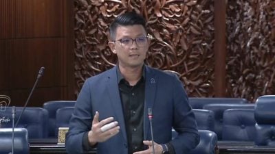 陈家兴：实现三方共赢 应扩大微商参与爱心促销