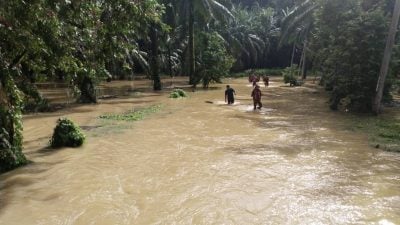 雨停水不退 16人移往救灾中心