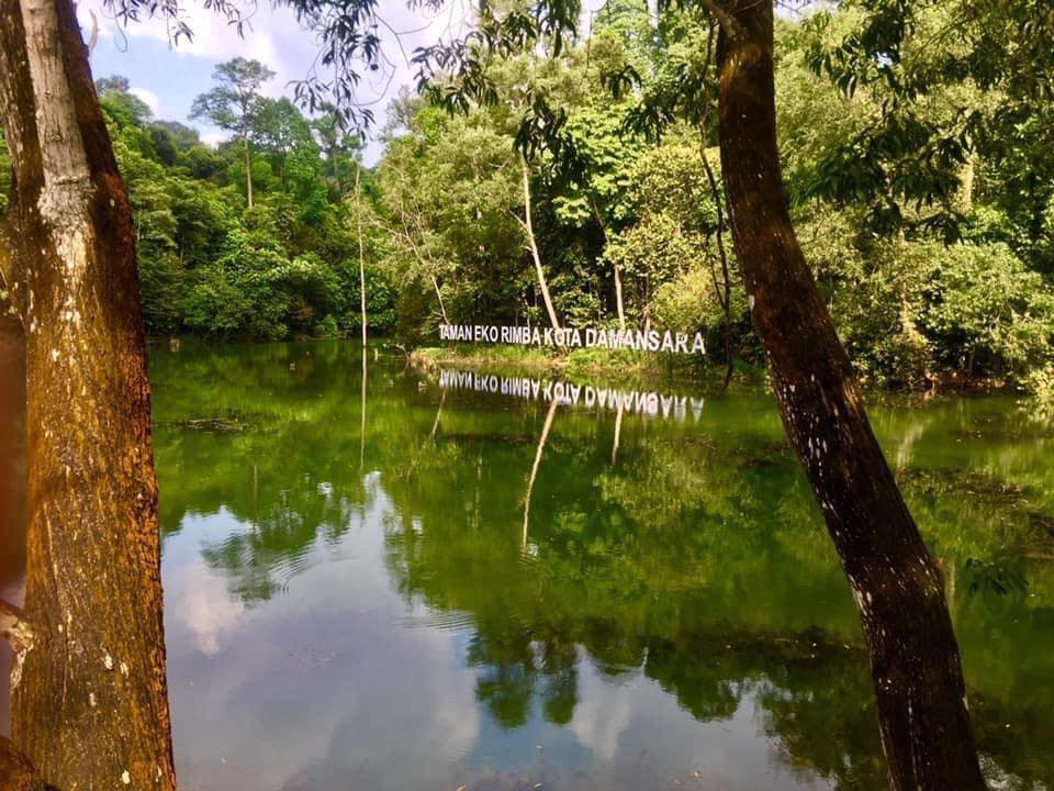 雪州议会/拍摄和商业用途 哥打白沙罗森林保留地收费/2图