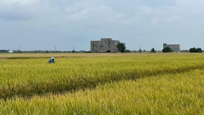 黄瑞林：雪明年1月起   向住宿旅客征“永续费”