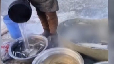 零下20度！东北早市奇观 替鱼洗“热水澡”