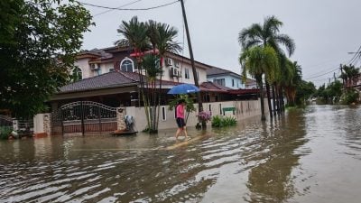 霹4县水灾灾黎达1786 学校停课 交通中断