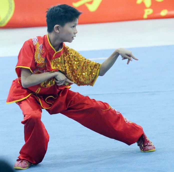 霹首届传统武术公开赛 208好手以武会友