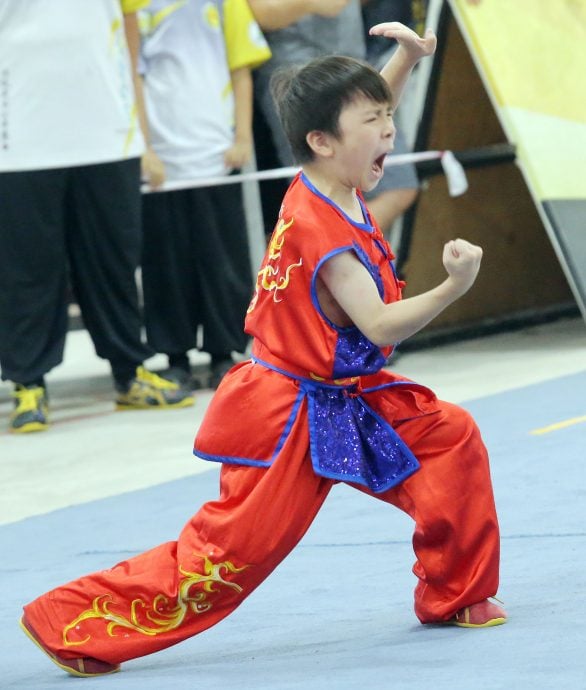 霹首届传统武术公开赛 208好手以武会友