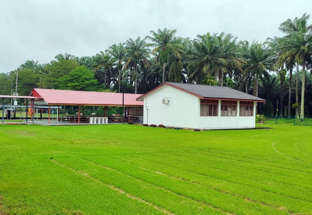 霹：11月26日见报∕微型华小•不微使命｜冷甲巴拉湾华小 融合社区人情味浓