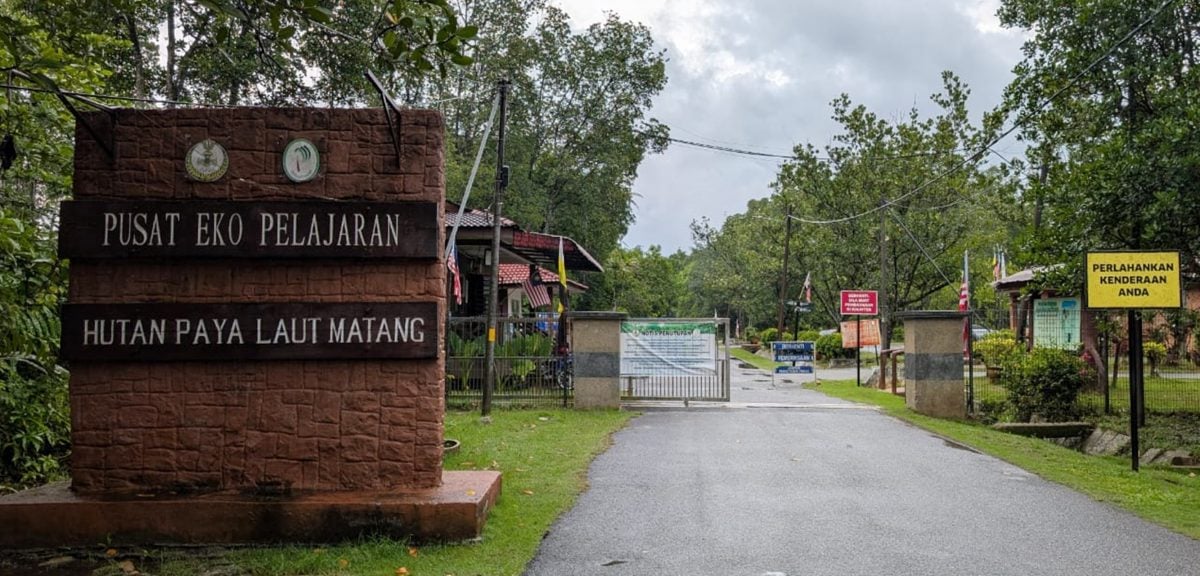 霹：4日见报∕封底主文∕新村美化动起来∕太平十八丁