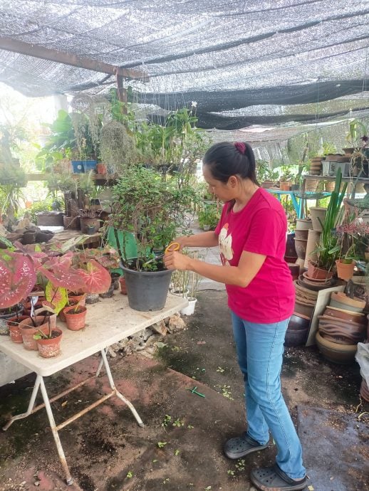霹：学海学记||主文|一店两景  水中鱼影美 院藏花草香