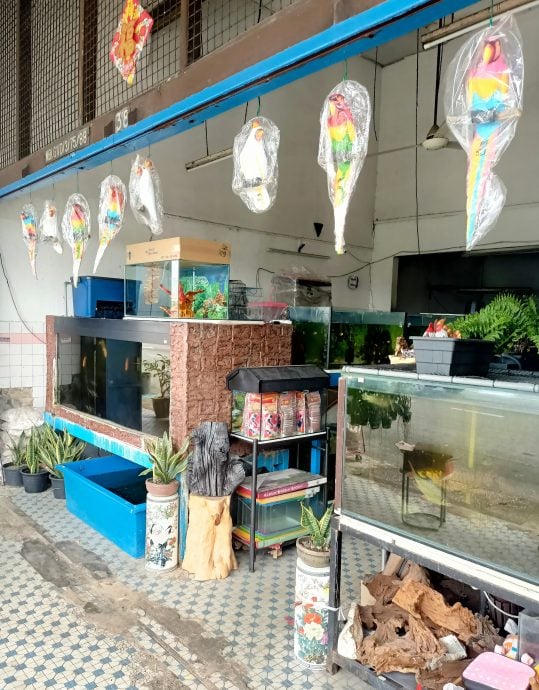 霹：学海学记||主文|一店两景  水中鱼影美 院藏花草香