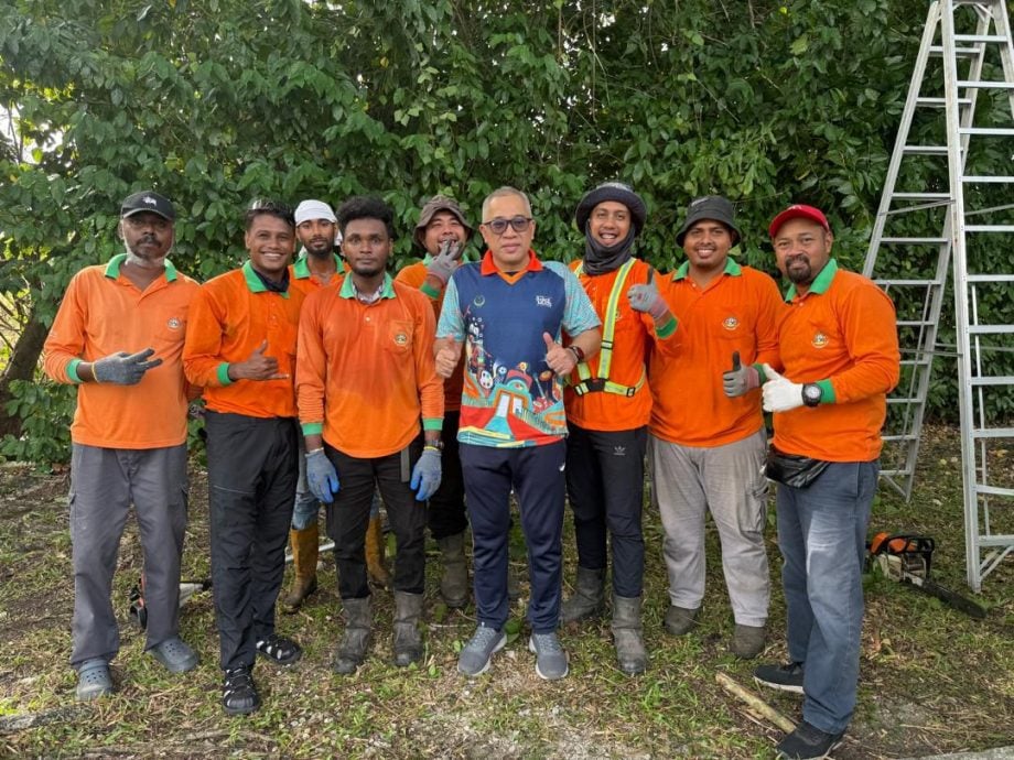 霹：封面主文∕危树投诉减少不随意砍伐 怡市政厅以修剪树政策为主