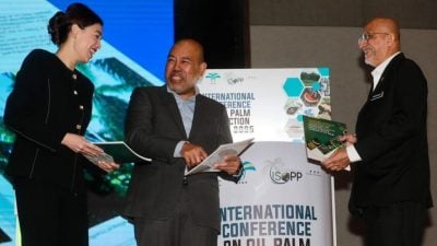 面对虫害威胁仍逆势增长 油棕产量料比去年多20万吨