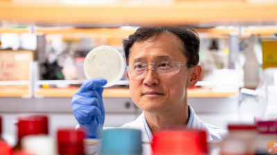 韩裔天才教授“智能病毒”提炼法　中国“稀土长城”恐遭攻破