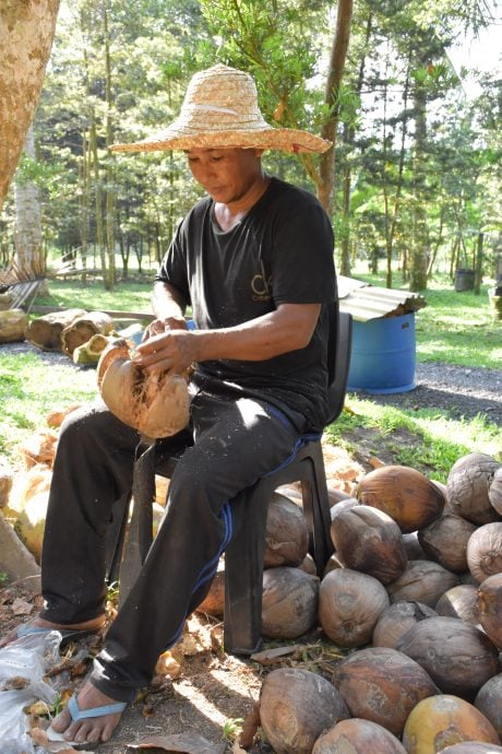 预编13日见报/大都会/星洲人VIP/赖贞瑝明德学堂