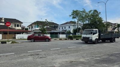 飞机场路胜利花园路口意外频发 市厅将清除阻挡视线植物