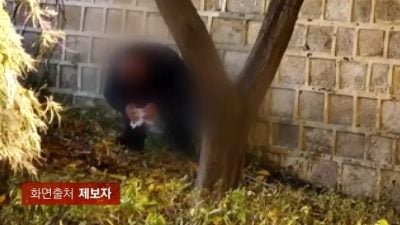 首尔景福宫离谱一幕 游客当众脱裤大便