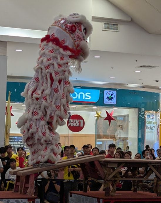 首届雨城狮子争霸赛 太平威武龙狮体育会夺冠
