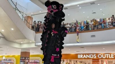 首届雨城狮子争霸赛  太平威武龙狮体育会夺冠