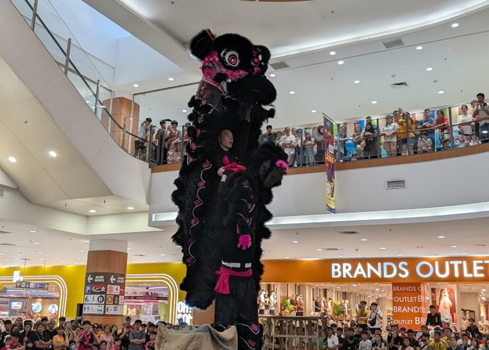 首届雨城狮子争霸赛 太平威武龙狮体育会夺冠