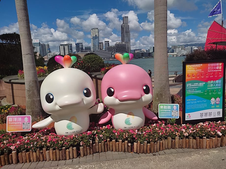 香港采访之旅后记    初游香江，梦回年少港剧