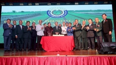 陈瑞法：供应稳将回落合理水平  白米价应更弹性浮动