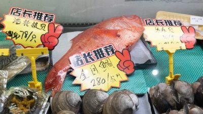 高市即兴言论｜分析：日中关系将迎来“漫长寒冬”