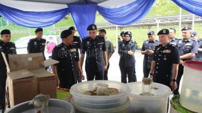 鹅唛警方积极肃毒 年初迄今逮捕提控逾2000人