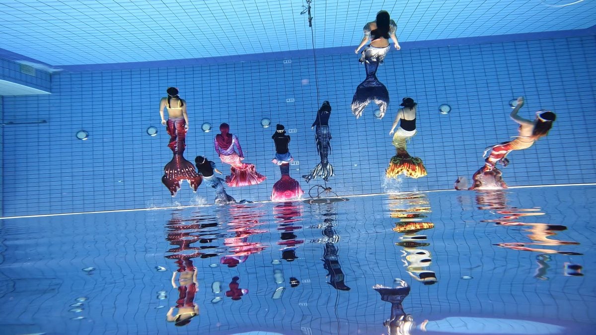 特职世界/美人鱼教练训练官