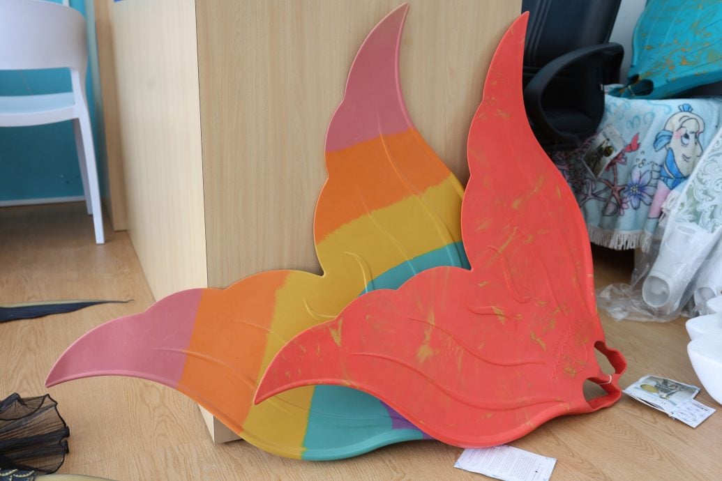 特职世界/美人鱼教练训练官