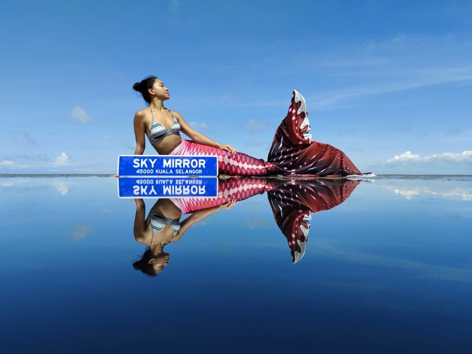 特职世界/美人鱼教练训练官