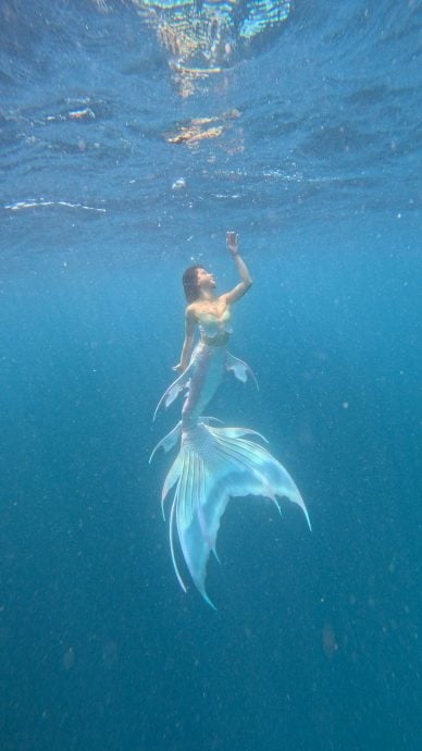 特职世界/美人鱼教练训练官