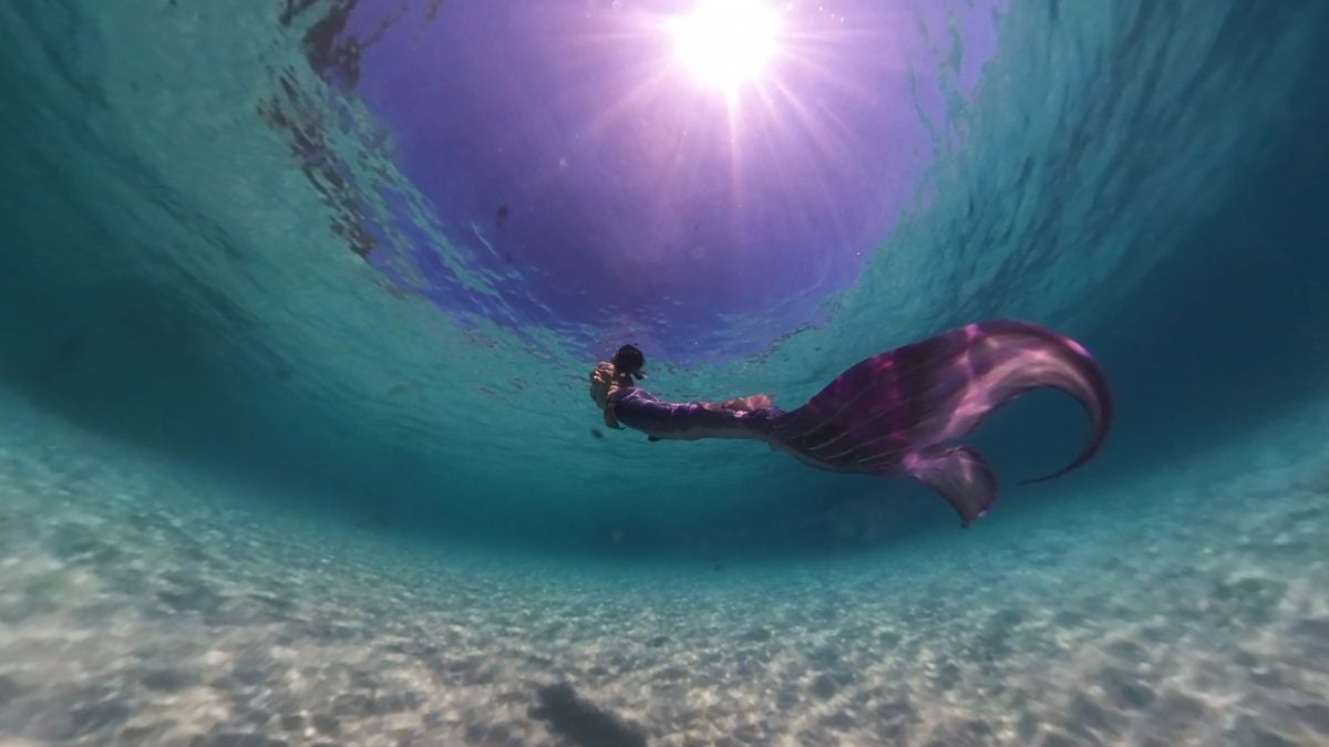 特职世界/美人鱼教练训练官