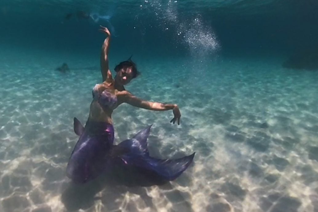 特职世界/美人鱼教练训练官