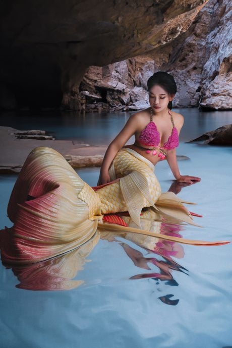 特职世界/美人鱼教练训练官