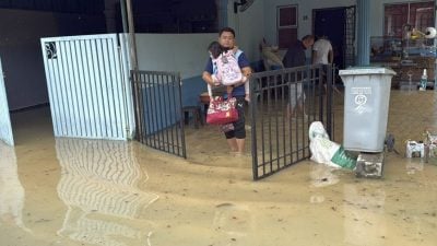 森亚尔登陆  佳林园近百户泡水了