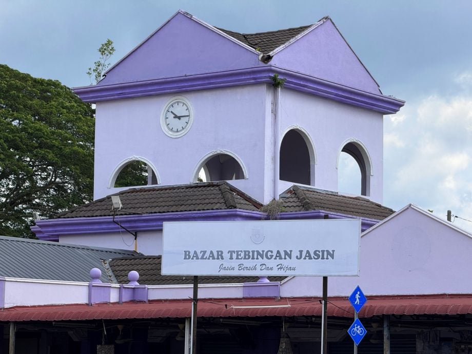 (古城封底主文)用眼睛去旅游:野新市镇艺术巷