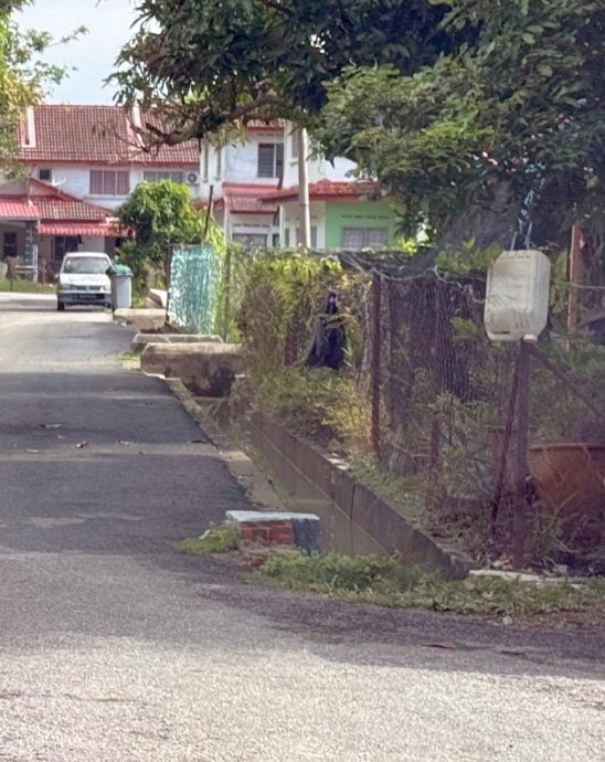 （古城封面主文）“森亚尔”远离后马六甲回暖·佳林园灾情大幅缓解