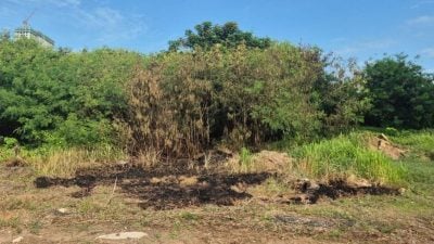 疑蓄意纵火   旧摩天轮路小树林失火