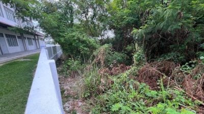 立人华小获拨5万建围墙   阻蛇类野生动物闯校园