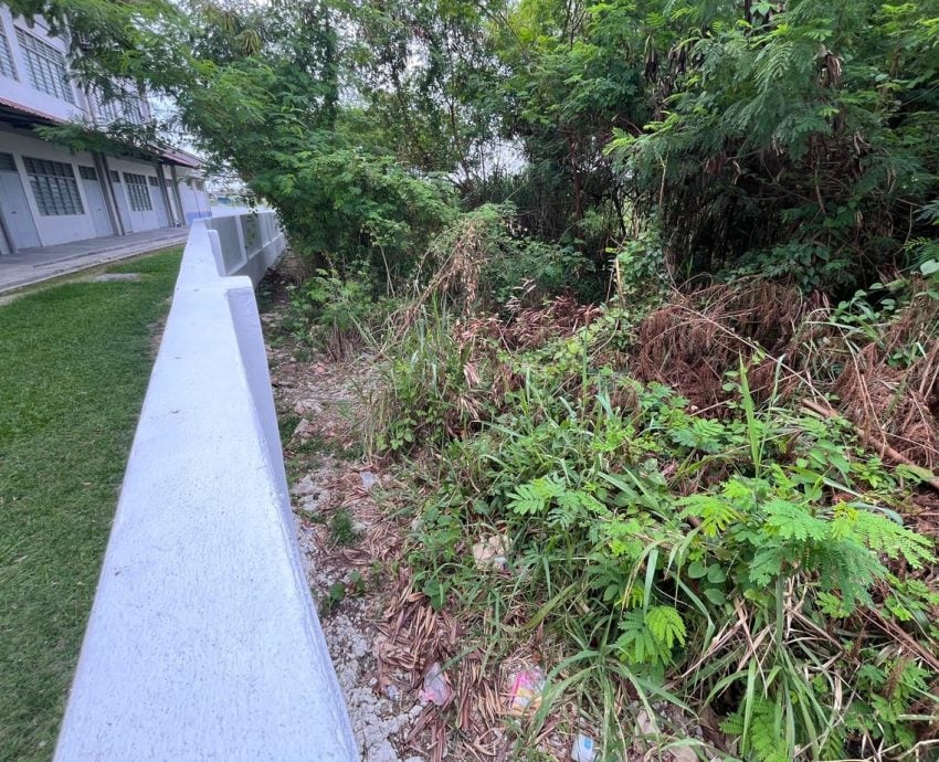 (古城封面副文)立人华小获拨款建设围墙,盼能应对蛇类及野生动物闯入困扰