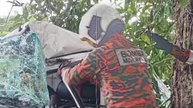 车失控撞树男子受伤