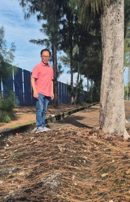 （古城版）人行道遭树根破坏