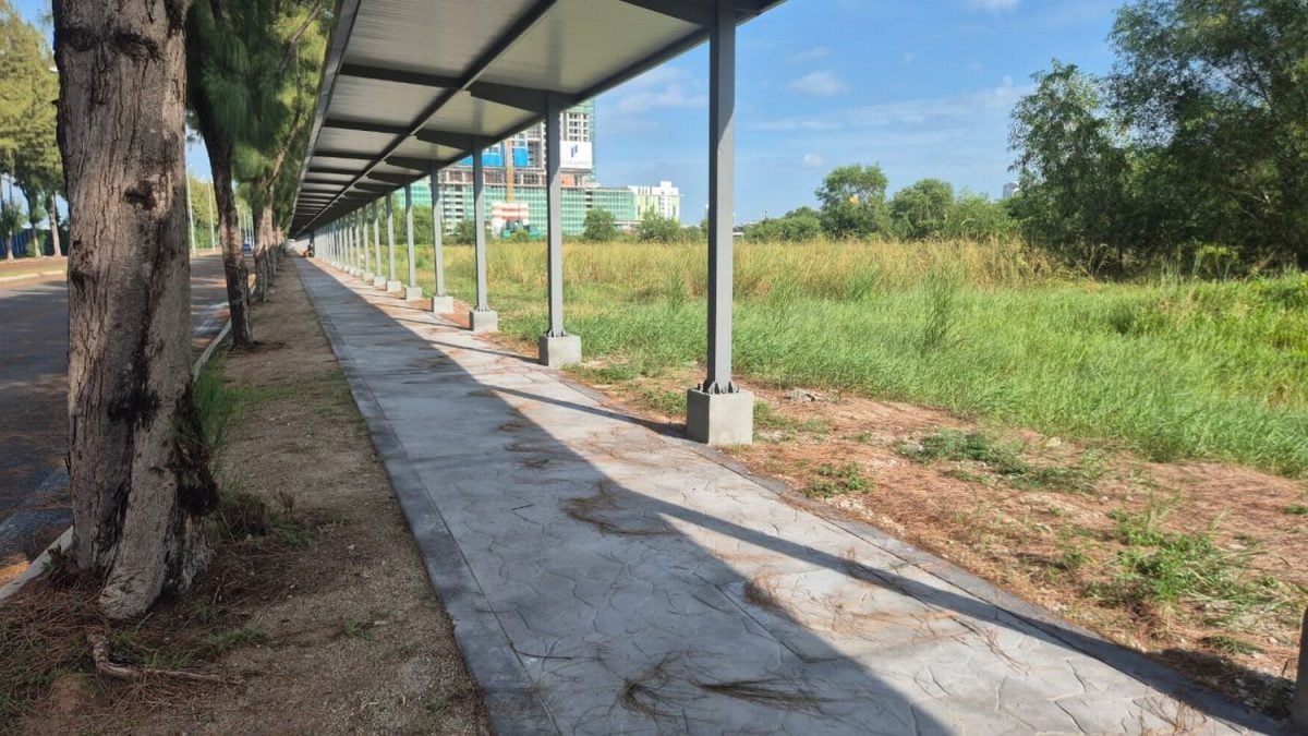 （古城版）人行道遭树根破坏