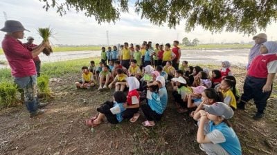 光亚学校田园庆儿童节   师生卷裤管插秧乐