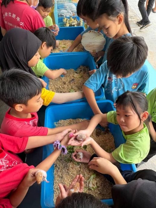 （古城版）野新拉朗华文小学“小小企业家”买卖活动