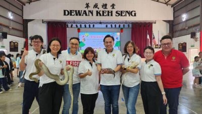 革成学校儿童节   “迷你动物园”寓教于乐